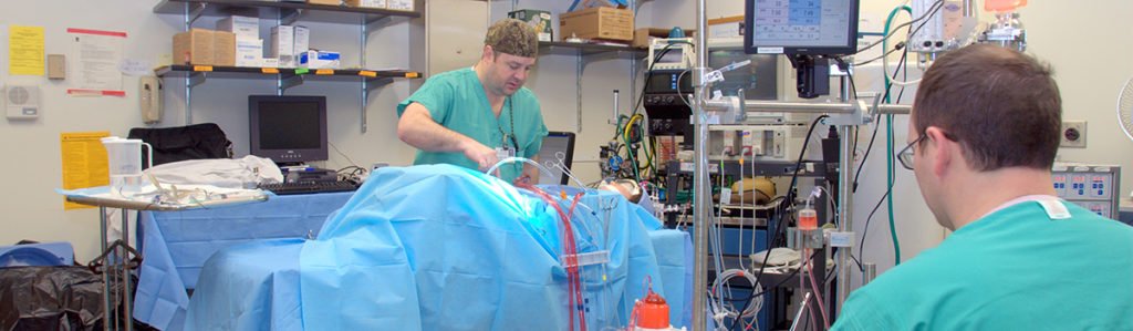 top-b-sc-perfusion-technology-colleges-in-bangalore